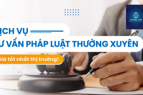 DỊCH VỤ TƯ VẤN ĐẦU TƯ, QUẢN TRỊ DOANH NGHIỆP, LUẬT SƯ